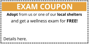 EXAM COUPON Details here. Adopt from us or one of our local shelters and get a wellness exam for FREE!