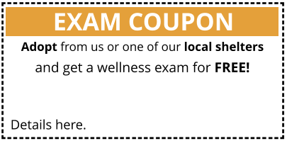 EXAM COUPON Details here. Adopt from us or one of our local shelters and get a wellness exam for FREE!