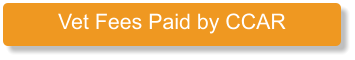 Vet Fees Paid by CCAR